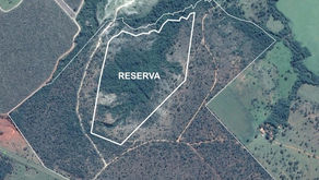 Primeiro passo para implantação de um Distrito Industrial Municipal já foi dado