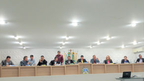Reivindicações do Distrito de Domiciano Ribeiro é pauta da 44ª sessão da Câmara Municipal de Ipameri