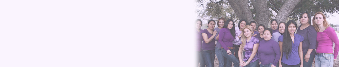 Empowering Women. Strengthening Families