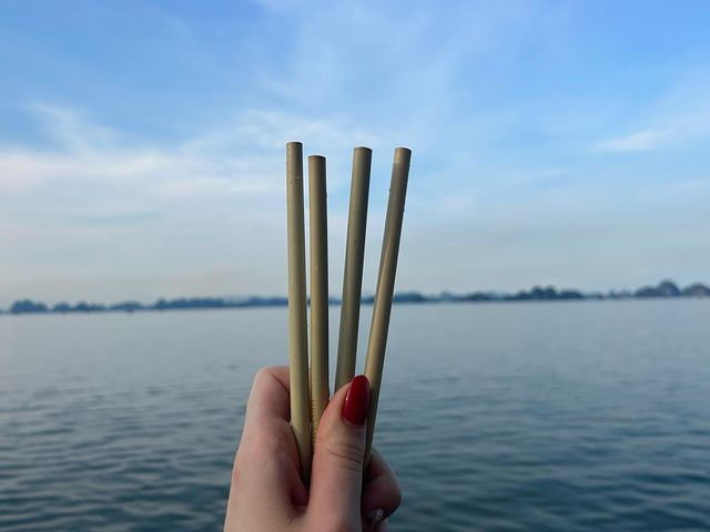 Bamboo Straws Manufacturer Oceans Republic