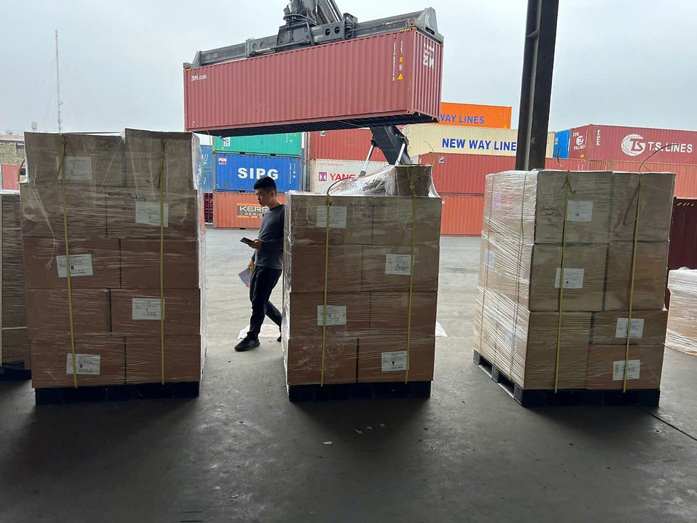 Bamboo is a billion-dollar industry 