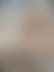 Mass Production of Bamboo Products at Oceans Republic Bamboo Factory