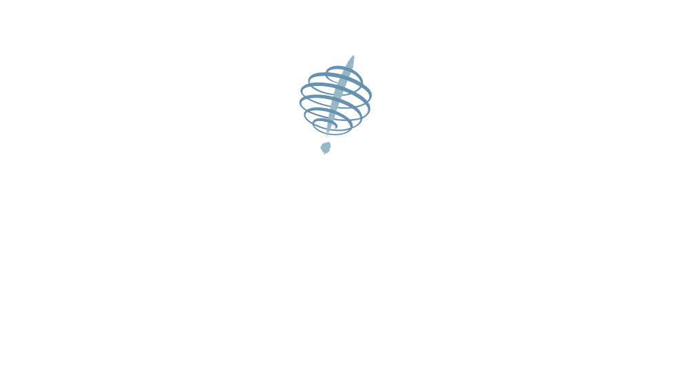 Vir_Logo_Member_Int_RevColor_RGB.png