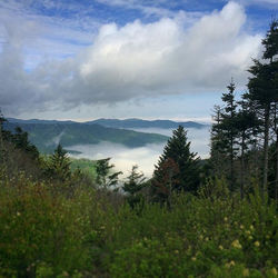 #greatsmokymountainsnationalpark #framestoframephotography #nature #clouds #greatsmokymountains #nat