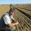 Thumbnail: Lettuce Seedling