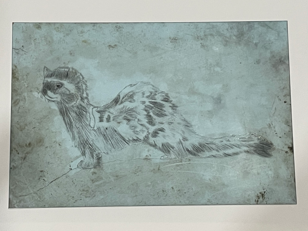 Original plexiglass tracing