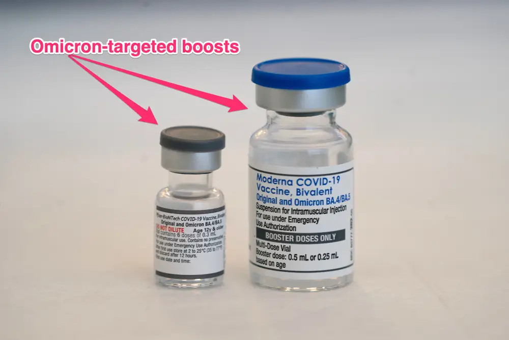 bivalent vaccine.webp
