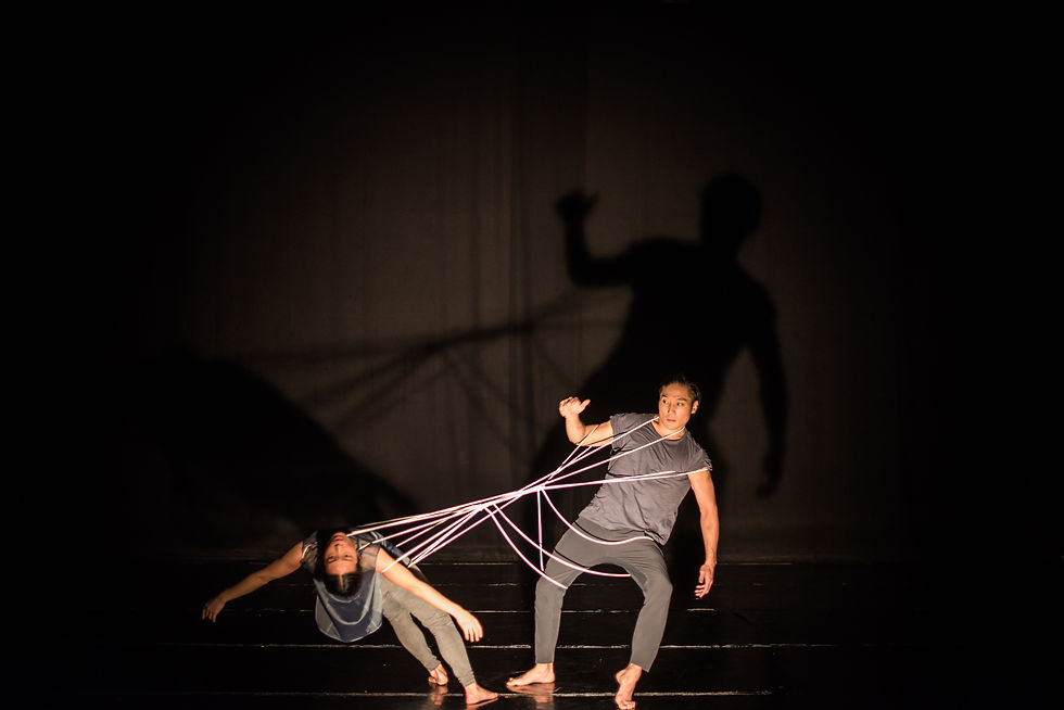 ©︎Frank Cocciolo_TANGLE-ANNECY-16DEC-24.jpg