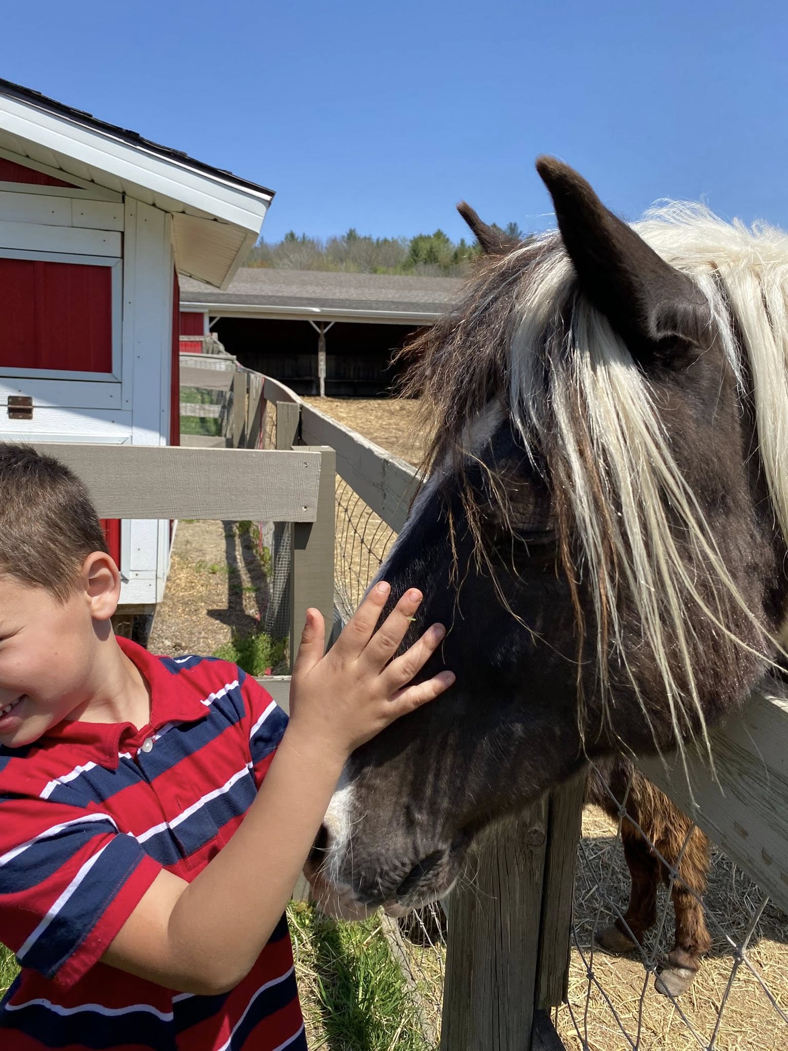 Cranhill Ranch