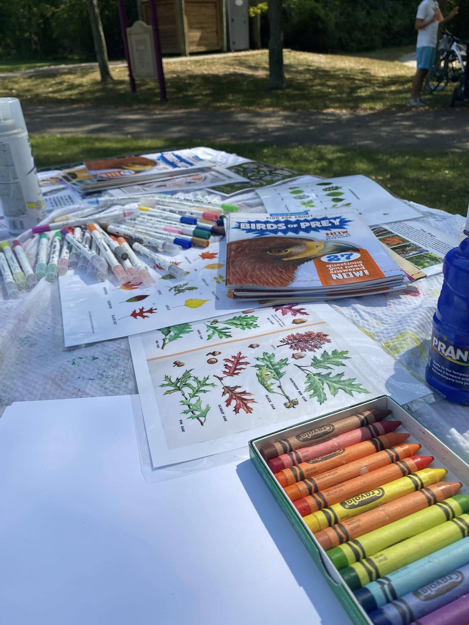 Mecosta County Kids event materials