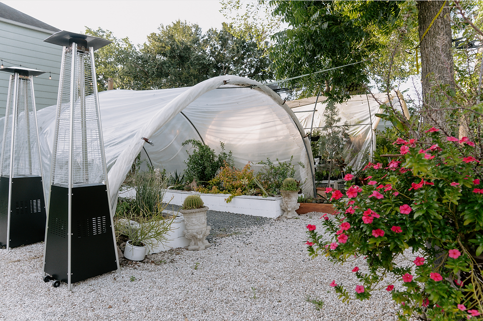 Garden 2