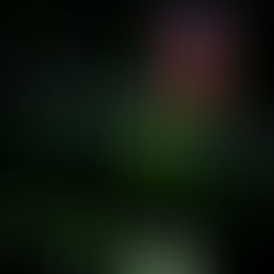 Placas de Vídeo na Black Friday