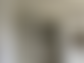 uzaki展 明後日より