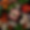 illunoxmedia_51248_Fresh_pork_surrounded_by_mushrooms_and_fresh_69805dff-b088-43fb-9fcb-6e