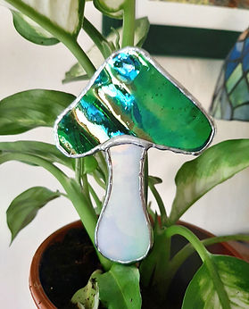 10 irdiescent mushroom plant.jpg