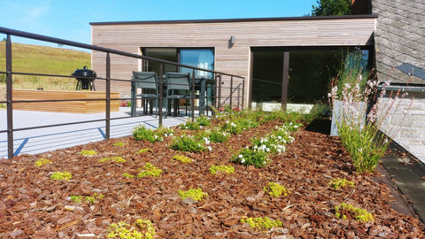 extension en bardage bois horizontal avec piscine, terrasse et toiture végétale