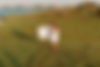 Salthaus Studio Home.jpg