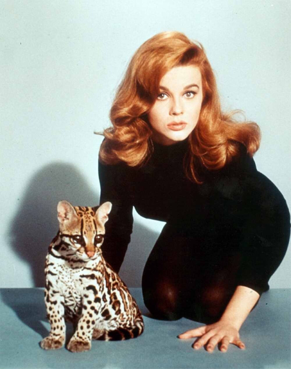 ANN MARGARET 5x7 Glossy Photo