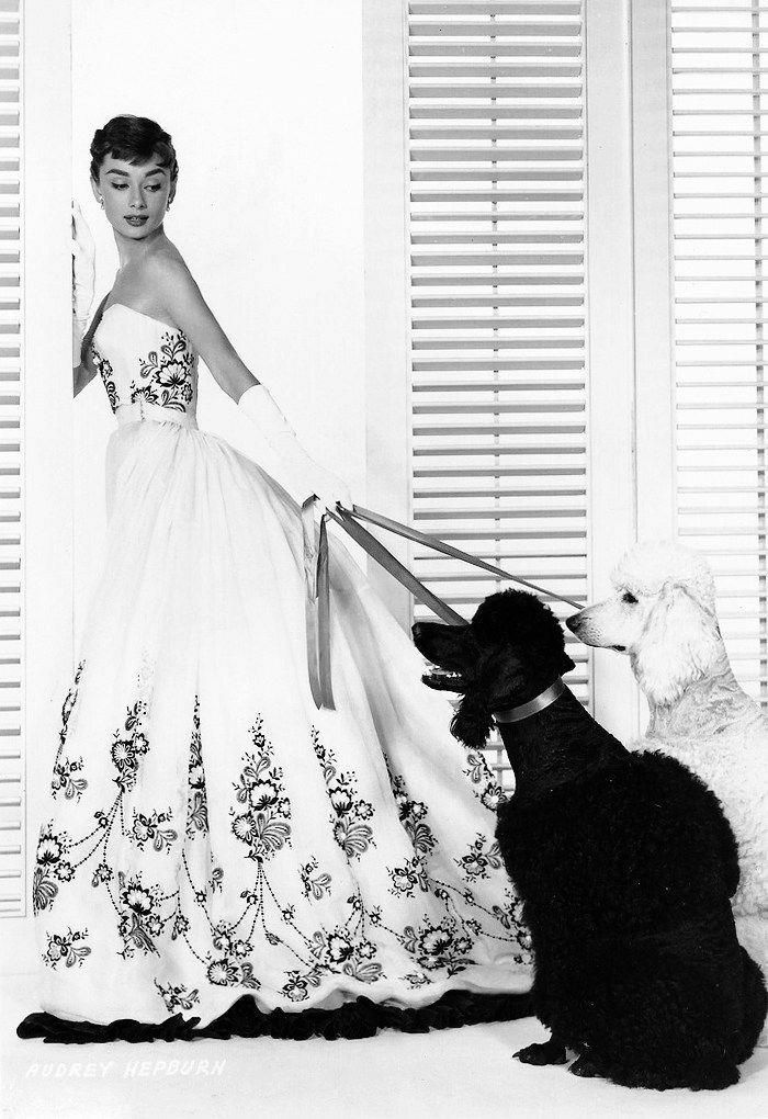 AUDREY HEPBURN  5X7 Glossy Photo