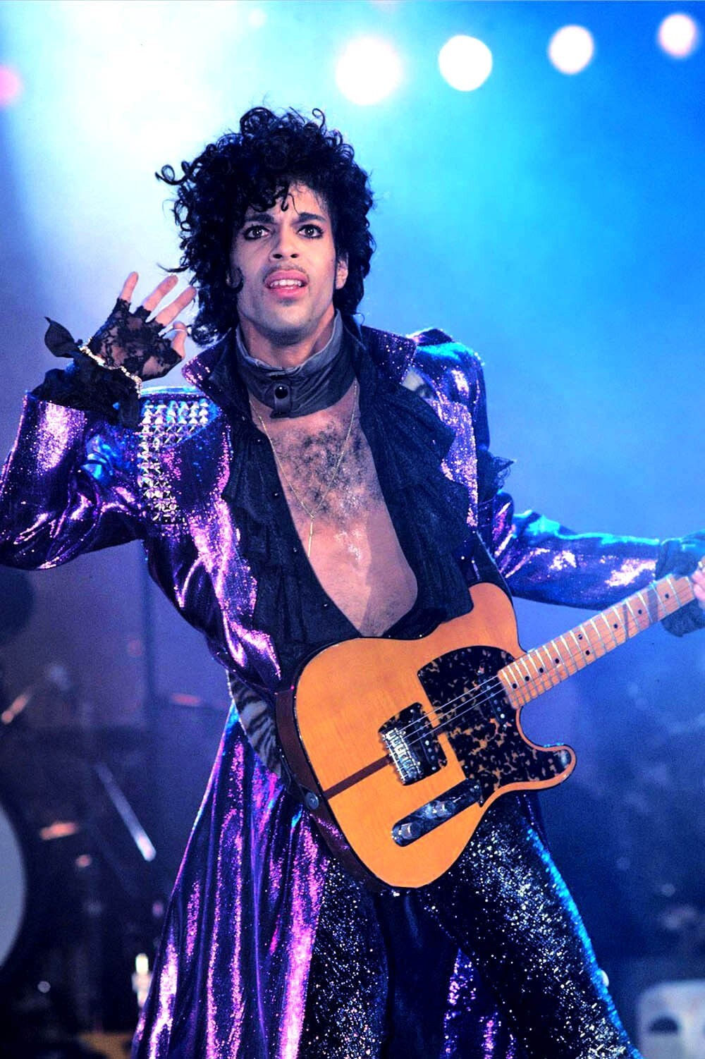 PRINCE 8X10 Photo