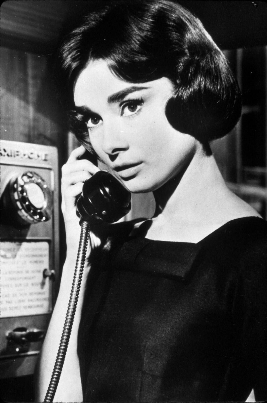 AUDREY HEPBURN  8X10 Photo