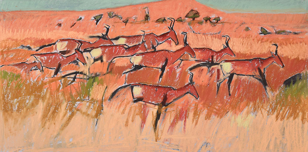 Red hartebeest and red dune in the Kalahari