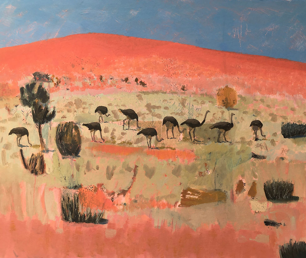 Ostriches in the Kalahari
