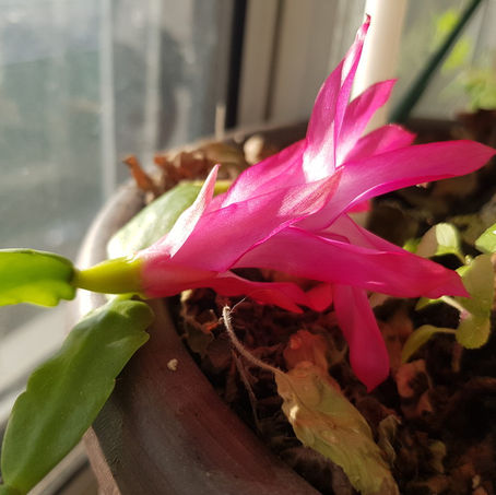 Message to Humankind from a Messenger/ God.....