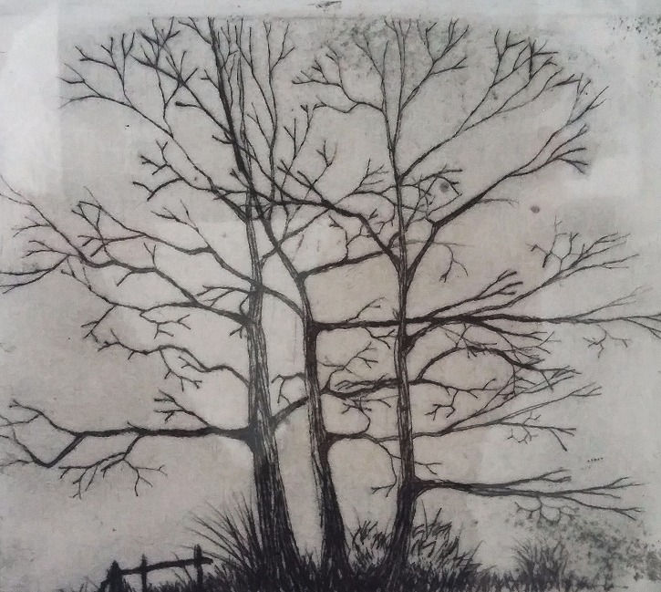 KENLEY COMMON TREES (DRY POINT)