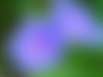 夏の記憶