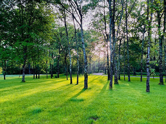 Nature gîte domaine de la gene_edited.jpg