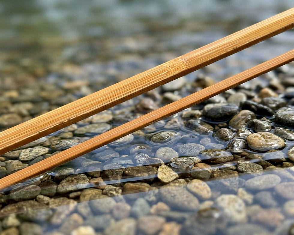 quad bamboo blank