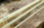 Thumbnail: 1wt blank
