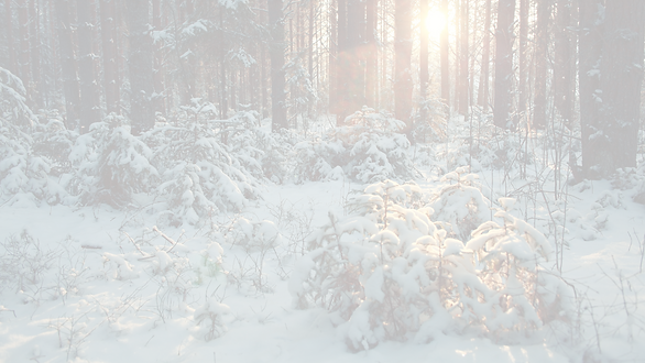 Facebook Cover.png