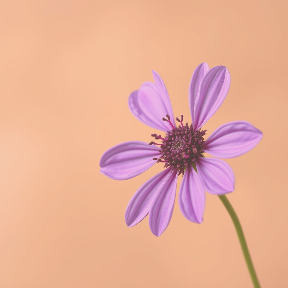purple flower with light brown or mocha background.jpg