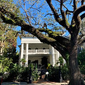 Columns hotel in New Orleans, Louisiana
