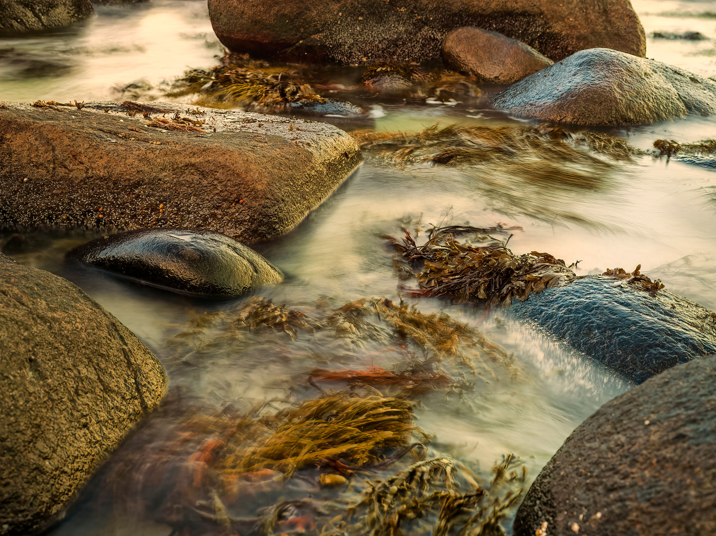 Lofoten - Naturkrefter