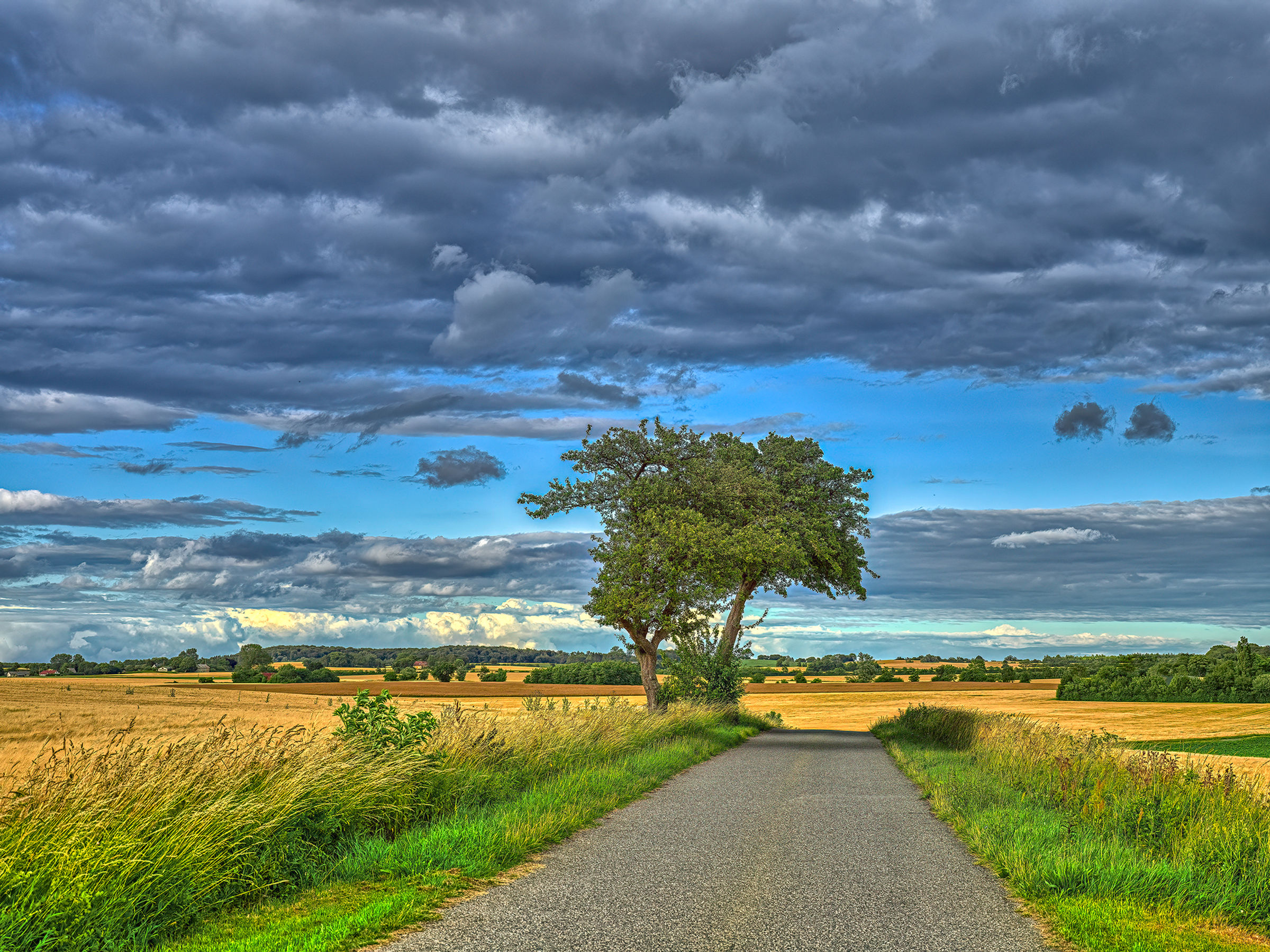 Danmark - Tre langs landevei