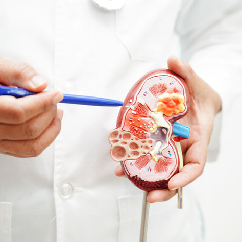 Urology matters: Why regular check-ups can change your life