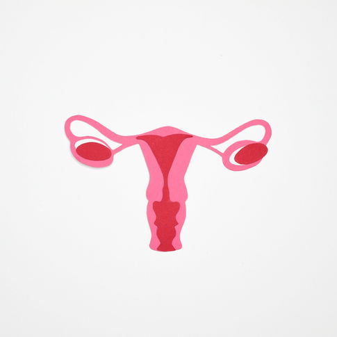 Mióma kezelési lehetőségei – beszélgetés a rendelő mióma specialistáival