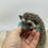 Thumbnail: "Teddy" male Ready Now-expo sold