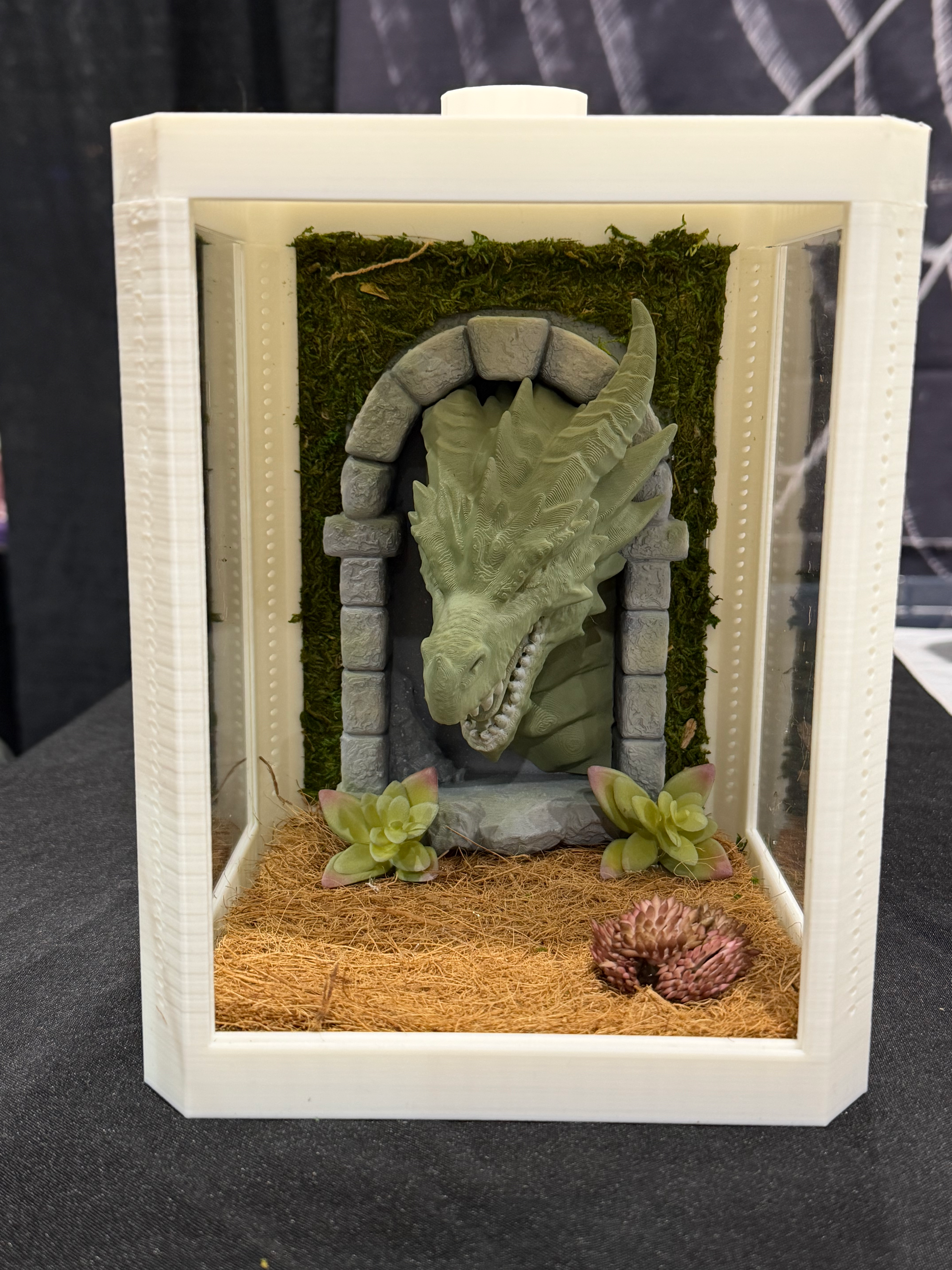 Dragon Enclosure