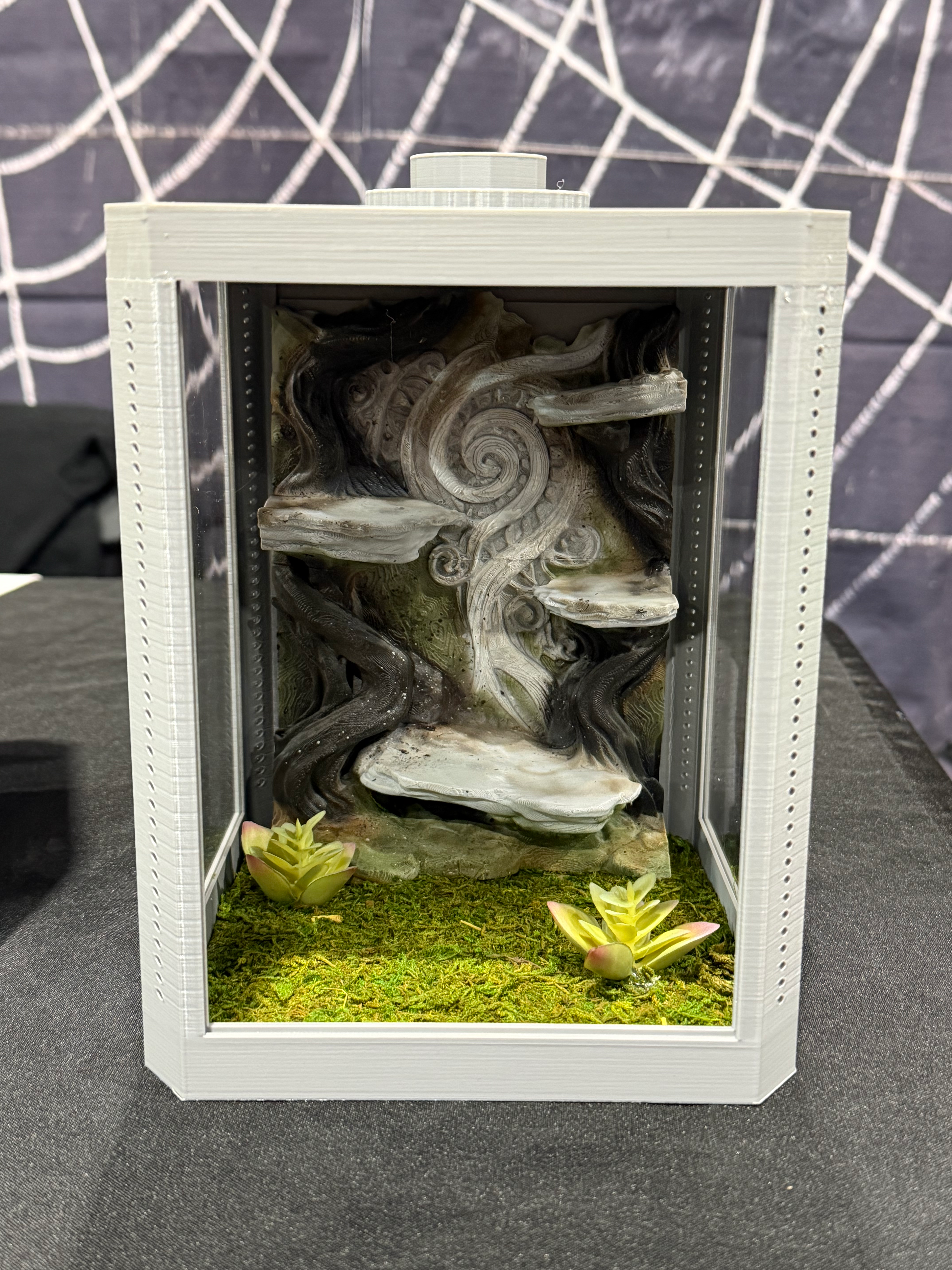 Mystical Cliffs Fantasy Landscape Enclosure