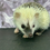 Thumbnail: "Jason” male Ready after 10/6 (On Hold)