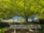 IMG_9020.jpeg