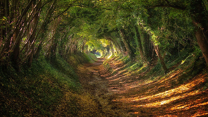 This article will examine the ideas of life, death, and nature in the poetry of Dylan Thomas and R.S. Thomas. These two poets have, despite being contemporaneous Welsh writers, very different poetic voices, but there are several points of similarity. One of those is the concept of "natural mysticism" - a term used explicitly by R.S. Thomas and explored implicitly by Dylan Thomas. It should be pointed out that "natural mysticism" has a different intended meaning to that of "plain" mysticism. Whereas mysticism does not value the sensory world and seeks a union with a transcendent reality, god, or absolute, ‘natural mysticism’ finds that union with a transcendent reality through an intense union with the natural world. In R.S. Thomas' poem ' Circles ', he writes: "But a dream finds him and builds in him And death comes and eats up the dreamer's Brood. And still it is out of a man Death is born: so before death Man is, and after death There is more man, and the dream outlasts Death, and the dreamer will never die" (Thomas, p.245) What is perpetuated, beyond the grasp of death, is both the dream and mankind the dreamer. Doubtless, many who read that poem will find the sentiment expressed – of a shared dream evading mortality – quite appealing. This dream, in which humanity jointly participates, can be thought of in several ways: as an artwork, as the aspiration of humanity to improve as a species, as the continuing identity of humankind, and so on. However, if one is allowed to be presumptuous, perhaps not every reader will have thought through the selflessness of that immortality. At least for the modern western mind, the continued existence of a dream has a romantic appeal but when it is appreciated that that continued existence will be unknown to ourselves (because that self will have been extinguished), the  appeal is perhaps diminished. 						Fig 1. Nature  (Gardner, 2018) Most minds are, in a literal sense, selfish; or, at least, self-centred. A mind not brought up to believe in something approximating to a Buddhist paradigm, involving a cycle of rebirth and a selflessness, may hold these things as an ideal but it is questionable how many can truly rejoice in a continuance in which they, as individual and conscious selves, will be unable to participate in after their own death. Dylan Thomas writes in ' And death shall have no dominion ': "Dead men naked they shall be one With the man in the wind and the west moon; When their bones are picked clean and the clean bones gone, They shall have stars at elbow and foot; Though they go mad they shall be sane, Though they sink through the sea they shall rise again; Though lovers be lost love shall not; And death shall have no dominion" (Thomas, p.73) Though not the identical, there is this same idea of the immortality of both the man and of the abstractions he gives birth to: thoughts can outlive the man who can outlive death. Inevitably, the idea of love is even more emotive than the idea of a dream. To an extent, even the self-centred mind is brought up, partly through an artistic tradition but also a religious one, to believe in a love that is, or can be, greater than the persons experiencing it. However, arguably, at least in so far as profane love is concerned, the problem remains as to how selflessly one can celebrate this persistence. There may be admiration for this joyful idea but, one suspects, there will be regret that we ourselves shall not be there for all time to see it, let alone enjoy it. There are two further considerations to be taken into account when thinking about this concept of 'eternity': one was mentioned above, namely the religious and the entropic. Since R.S. Thomas was an Anglican priest and Dylan Thomas said his poems were "written for the love of Man and in Praise of God"  (Thomas, p.19) clearly the religious aspect cannot be discounted. However, many of R.S. Thomas' religious views, especially those outside his clerical duty, were far from conventional and the religious spirituality of Dylan Thomas is even harder to pin down, let alone categorize. 					Fig 2. Dylan Thomas (Reiss) One might say that a solution to the enervating and cheerless fact of entropic negation may only be found in religious faith. That, although, neither deity nor afterlife can reverse entropy, they do offer the faithful the means to survive it. Nonetheless, the ultimate fact of entropy is perhaps too pedantic a problem for this examination of poetry and an 'eternity' that lives as long as life itself should be sufficient for most. After all, we do not normally read poetry and question its relevance for several billion years hence should, as seems likely, earthly life not continue for so long. During his life, in addition to his natural mysticism, R. S. Thomas's religious beliefs seem to have grown to be increasingly Kierkegaardian and therefore to have involved a great deal of subjective interpretation and necessary doubt, not to mention poetry, all aspects of Kierkegaard's religious views. At the same time, Dylan Thomas's spirituality, for want of a better term, seems to have conflated art, the natural world, and an unstructured religious feeling. These positions are not the same but neither are they entirely dissimilar. Dylan Thomas writes in the poem ' The force that through the green fuse drives the flower ': "The force that drives the water through the rocks Drives my red blood; that dries the mouthing streams Turns mine to wax And I am dumb to mouth unto my veins How at the mountain spring the same mouth sucks." (Thomas, p.9) 					Fig 3. Mountain Spring  (Thalpha, 2009) What is being described here seems to be a force that combines man and the natural world. Not only does there seems to be no separation between the two but the same animation that 'drives' nature impels mankind. Therefore, there is no such thing as an inanimate object in this world. The poem speaks of water, rock, vegetation, and the wind as elements that we are joined to and, more importantly, it reminds us that we are made of the same stuff. The only other living creature in the poem, aside from man and flora, is the worm; a reminder that in death we shall return to the stuff we are made of in a cycle initiated in birth. Ironically for a poem, the poet repeats five times that he is 'dumb to tell'. Although there is a clear implication that an intellectual description of this involvement of man and nature would be inadequate, the main inarticulacy seems to be between man and nature. Although springing from the same fountain head, man cannot bring himself to the attention of nature: the tongue needed is missing. One may conjecture that it is consciousness, rationality, and even the desire for expression itself that creates this bifurcation between two parts of the same world. A contrasting thought is given in R.S. Thomas's poem ' Suddenly ' where: "He addresses me from a myriad directions with the fluency of water, the articulateness of green leaves: and in the genes, too, the components of my existence" and in which "I listen to the things round me: weeds, stones, instruments, the machine itself, all speaking to me in the vernacular of the purposes of One who is." (Thomas, p.426) Although God is clearly the animating force here, as well as being the provider of a mutually comprehensible vocabulary, the similarity with Dylan Thomas's poem is evident. Here too, the elemental components combine with man and so too there is nothing inanimate in this world, even the mechanical has a voice and is comprehensible. However, we should not confuse this with the language of conscious reason or logic. Instead, we should see it through the lens of the beautiful image in ' The Reason ' that concludes: "learning we are here not necessarily to read on but to explore with blind fingers the word in the cold, until the snow turn to feathers and somewhere far down we come upon warmth and a heart beating." (Thomas, p.27) 					Fig 4. Snowdrift  (Baxter, 2008) Dylan Thomas's poem ' In Country Sleep ' whilst being concerned with the immanence of death, nonetheless speaks of such things as the 'Pastoral beat of blood through the laced leaves!', 'Illumination of music!..Music of elements, that a miracle makes!/Earth, air, water, fire, singing into the white act', and 'A hill touches an angel! Out of a saint's cell/The nightbird lauds through nunneries and domes of leaves' (Thomas, p.173-8). In the midst of mortality, there is a mystical vitality. Life, though it entails death, is also its opposite. Not only that, but there is a life to be discovered that is not ordinary but as shockingly powerful as death. These concerns over an eternity that only thumbs a ride with us until the next generation are shown to be beside the point. That eternal presence in the world is life itself and if we do not attend to it, Dylan and R.S. Thomas, seem to suggest, we ignore the true vigour of life and all that is vibrant in the world. To regret the fact that we must relinquish it at death and, thus, not see the story unfold, is a misplaced sorrow. Instead, their poetry reminds us, we should realise that the eternal is something we may touch during the impermanence of life. Though we may not keep a hold of it, to not grasp it all would be a worse fate. The idea that in life we are in death is two-pronged: on the one hand, yes, life begins the countdown to death but, perhaps more worryingly, we may anticipate death by failing to live. "Navigate by such stars as are not leaves falling from life's deciduous tree, but spray from the fountain of the imagination, endlessly replenishing itself out of its own waters." (Thomas, p.511) References: Thomas, D. M. (2010). The Collected Poems of Dylan Thomas: Original Edition . New Directions Thomas, R. S. (1993). Collected Poems 1945-1990 . Phoenix. Thomas, R. S. (1992). Mass for Hard Times . Bloodaxe Books Limited. Image references: Baxter, W. (2008). Drifting snow by a Drystane Dyke. Geograph . Sourced from https://www.geograph.org.uk/photo/725988 Gardner, A. (2018).  Tree Tunnel-Halnaker.  Sourced from https://live.staticflickr.com/1970/30482976877_29603f2351_b.jpg  Reiss, F. Dylan Thomas  Sourced from https://www.chicagotribune.com/resizer/MzBOl4vQ6-3UStmURUG-_WyqjW0=/fit-in/800x533/smart/filters:fill(black)/arc-anglerfish-arc2-prod-tronc.s3.amazonaws.com/public/U7J3H4IFGRBIJBDCES4H7Y76PM.jpg Thalpha. (2009). A waterfall on the Stanisoara River in the Retezat Mountains . Sourced from https://upload.wikimedia.org/wikipedia/commons/thumb/5/52/Retezat_Mountain_-_Spring_Waterfall_02.JPG/800px-Retezat_Mountain_-_Spring_Waterfall_02.JPG?20100905093246