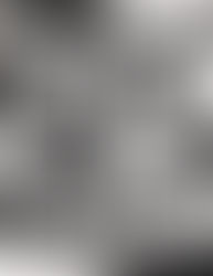 Notan Design by Sophia Buddenhagen