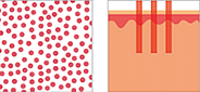 120SpotSize-graphic-eco2.gif