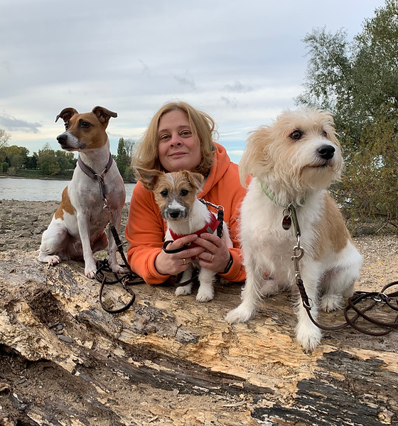Bibi und 3 Hunde