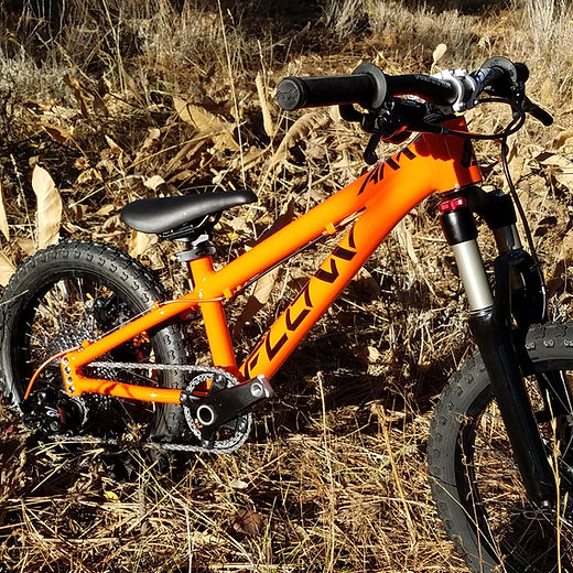 Shop | flowkidsbikes
